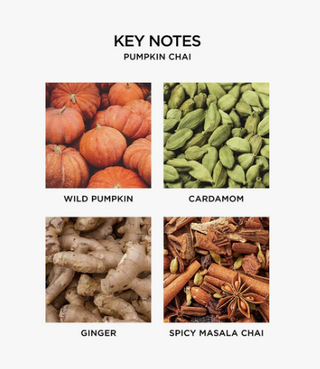 Nest 3-Wick Candle - Pumpkin Chai