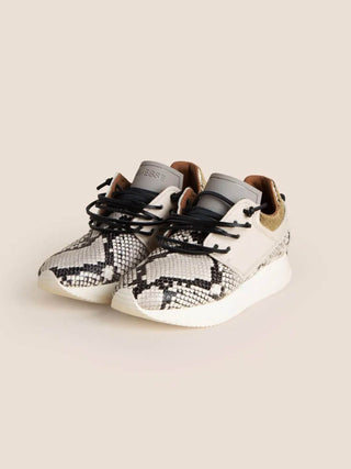 Esseutesse Sneaker in Ivory Python